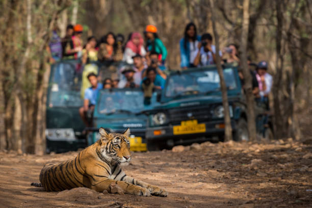 Pench Tour Package